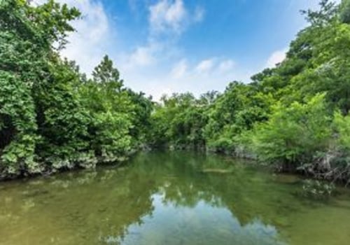 Austin's Comprehensive Policy Against Climate Change: Addressing Water Quality and Conservation