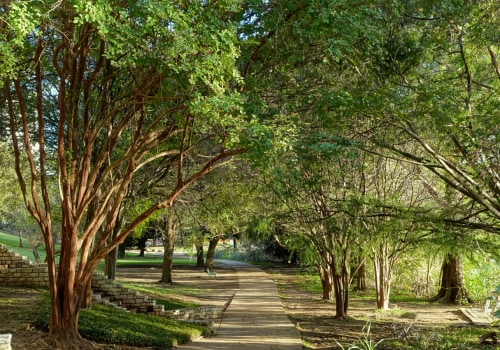 Austin's Green Future: Plans for Increasing Green Spaces and Urban Forests as Part of the Policy Against Climate Change